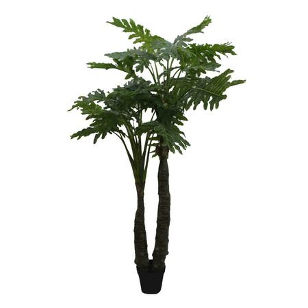 MAQUINA 86 in. Philodendra Tree MA3012154
